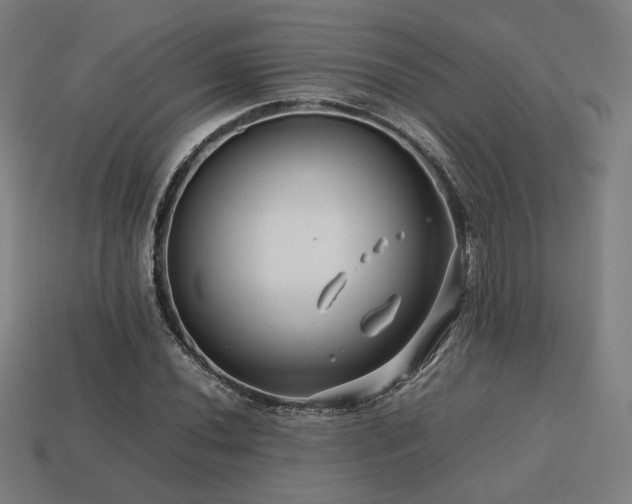 X0000113761020200909231200