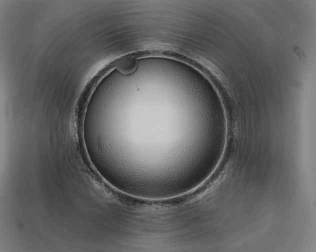 X0000113761022200909231200