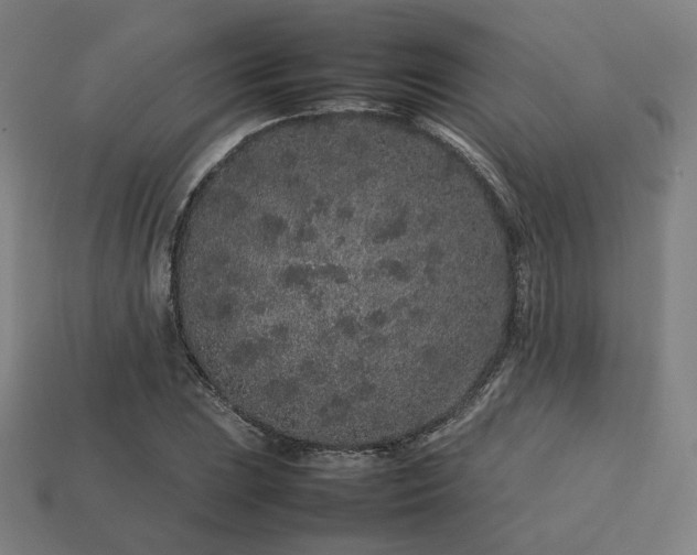 X0000113761023200909231200