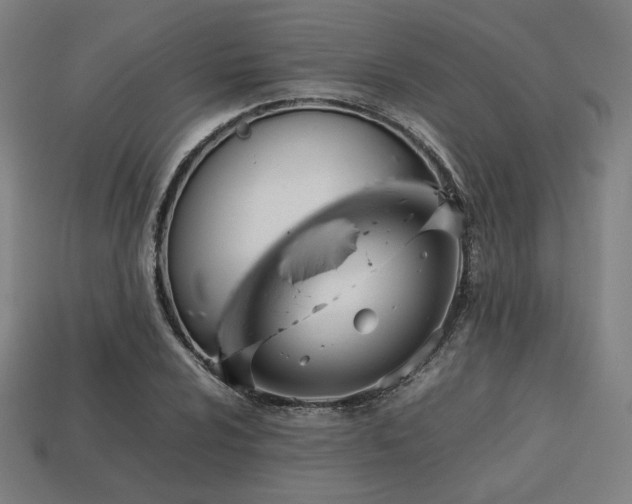 X0000113761024200909231200