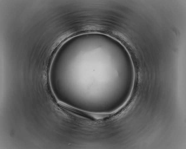 X0000113761025200909231200