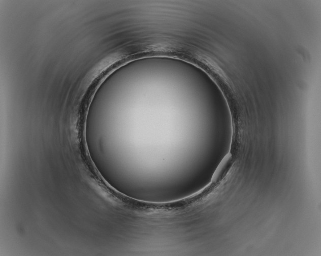 X0000113761026200909231200