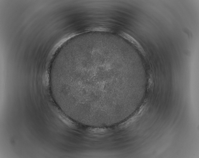 X0000113761027200909231200