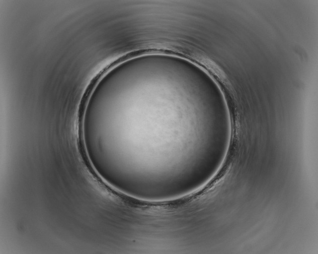 X0000113761028200909231200