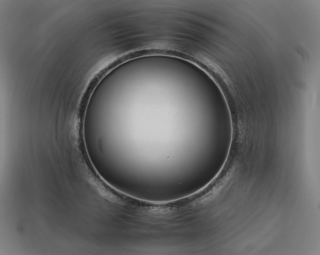 X0000113761029200909231200