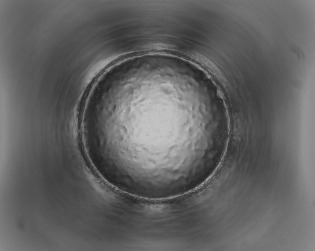 X0000113761031200909231200
