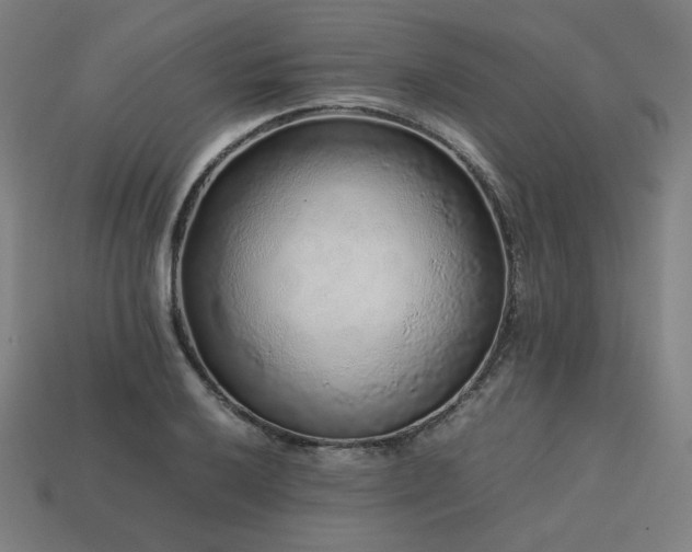 X0000113761032200909231200