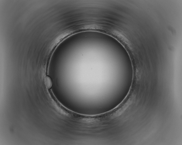 X0000113761033200909231200