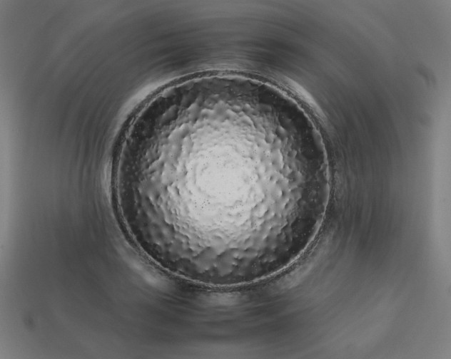 X0000113761035200909231200
