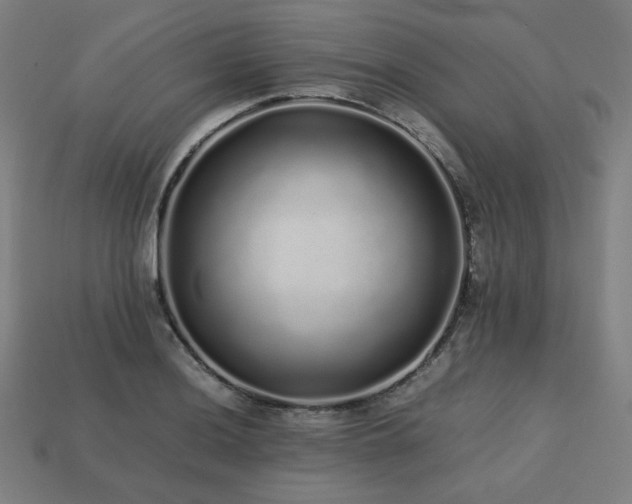 X0000113761036200909231200