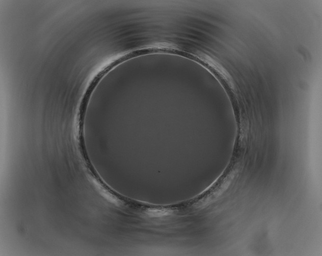 X0000113761037200909231200