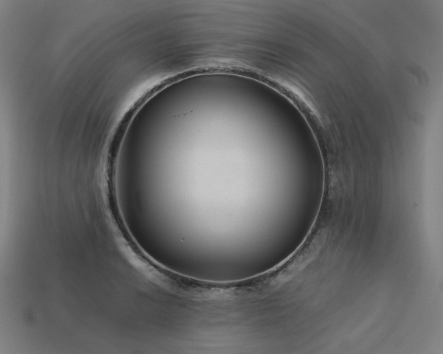 X0000113761038200909231200