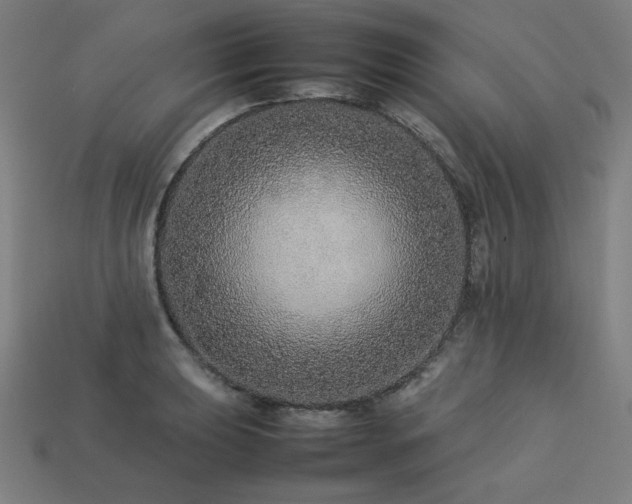 X0000113761039200909231200