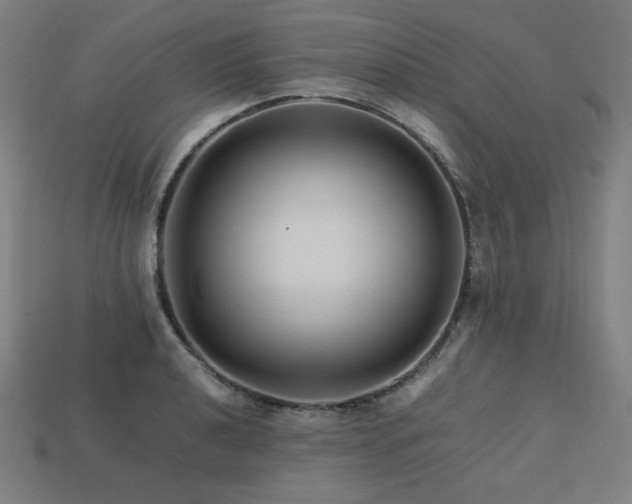 X0000113761040200909231200