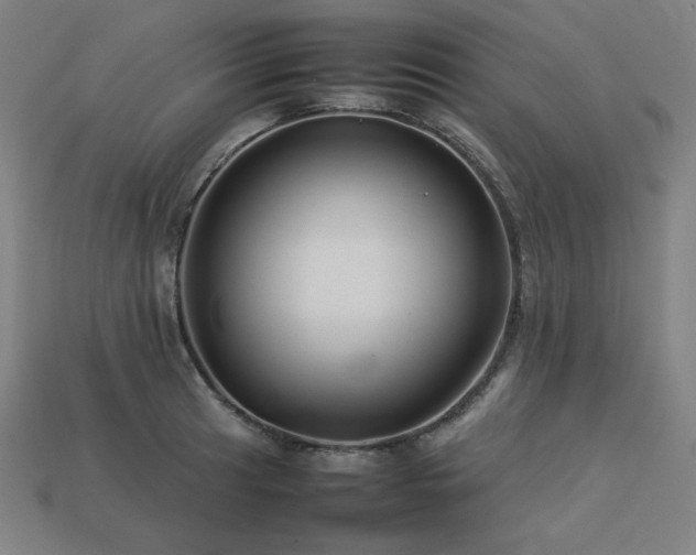 X0000113761041200909231201