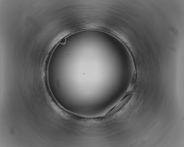 X0000113761042200909231201