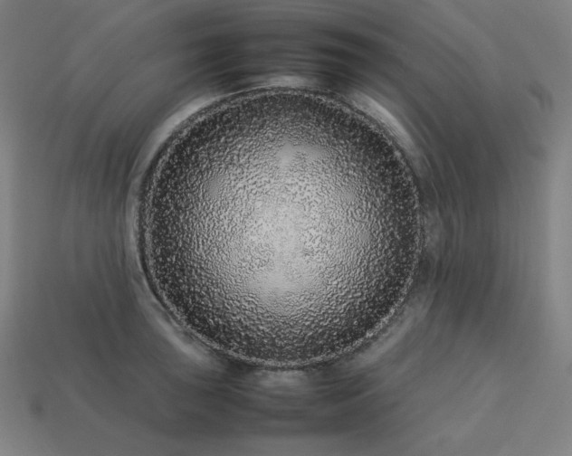 X0000113761043200909231201