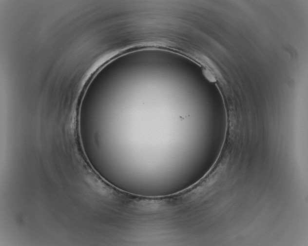 X0000113761044200909231201