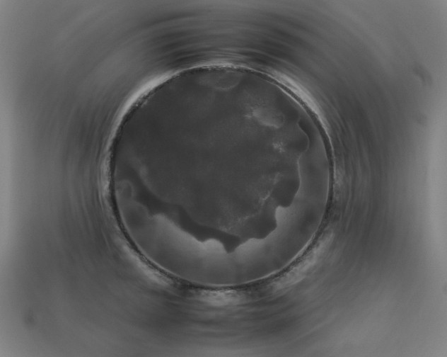 X0000113761045200909231201