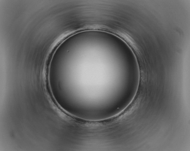 X0000113761046200909231201