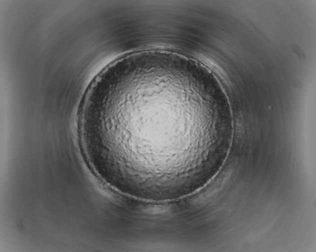 X0000113761047200909231201