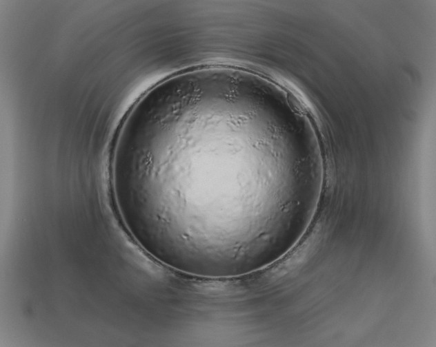X0000113761048200909231201
