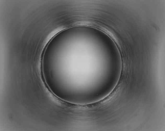 X0000113761050200909231201
