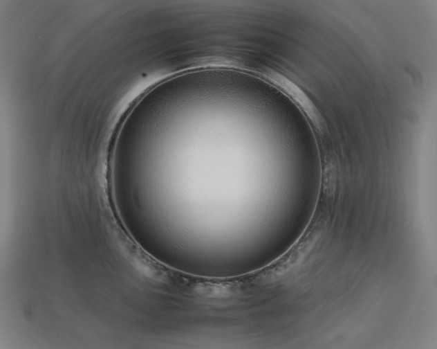 X0000113761051200909231201