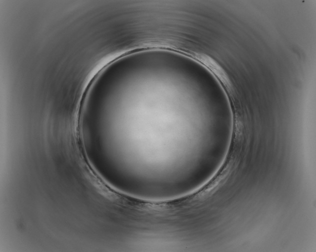 X0000113761052200909231201