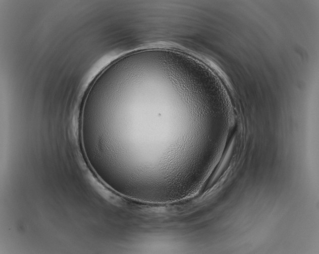 X0000113761054200909231201