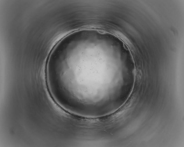 X0000113761055200909231201