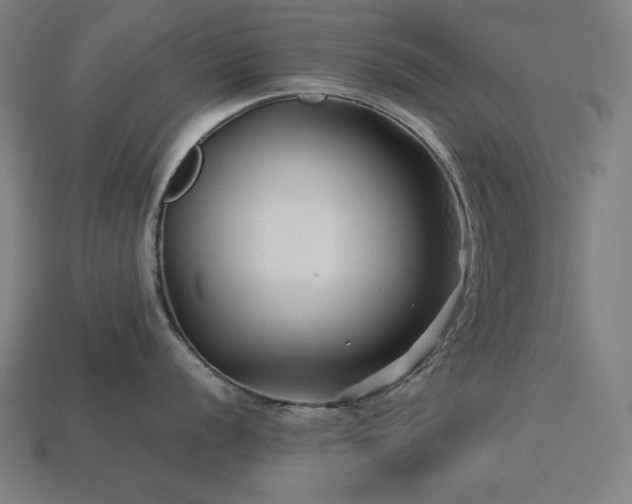 X0000113761056200909231201