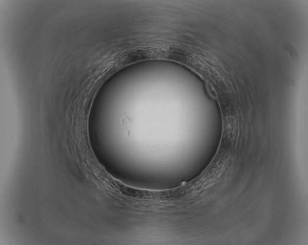 X0000113761057200909231200