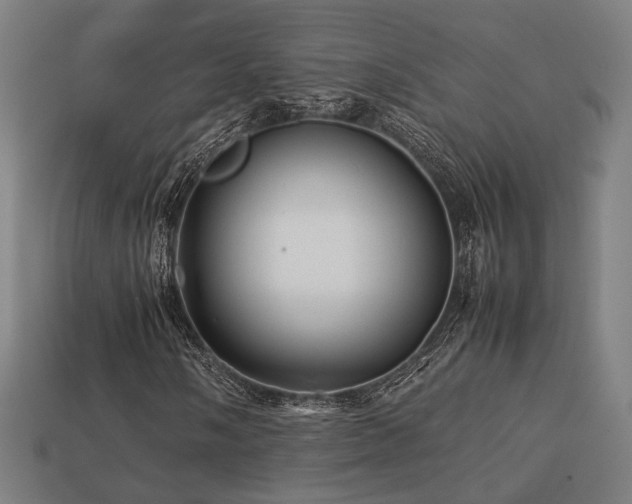 X0000113761058200909231200