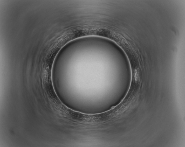 X0000113761059200909231200