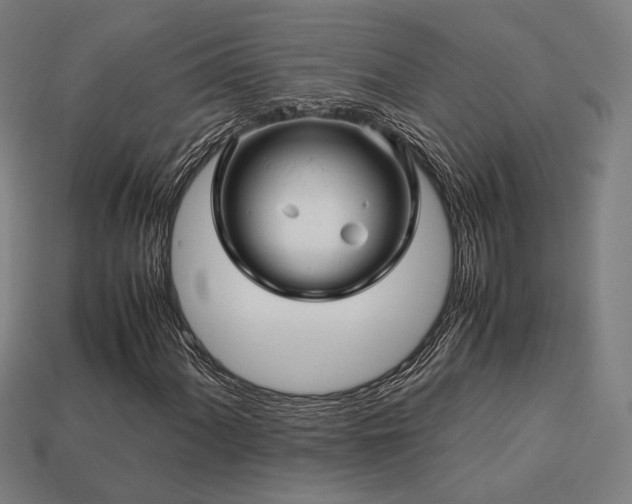 X0000113761060200909231200
