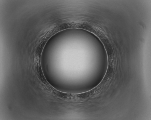 X0000113761061200909231200