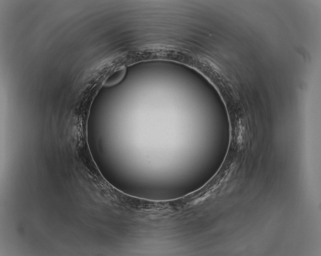 X0000113761062200909231200