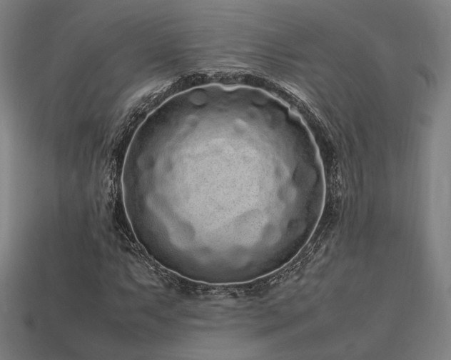 X0000113761063200909231200