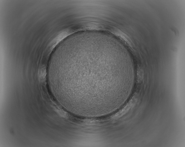 X0000113761065200909231200