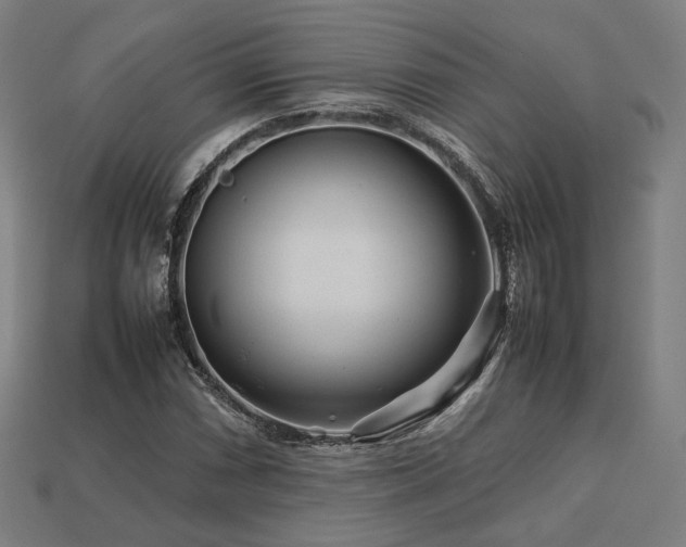X0000113761066200909231200