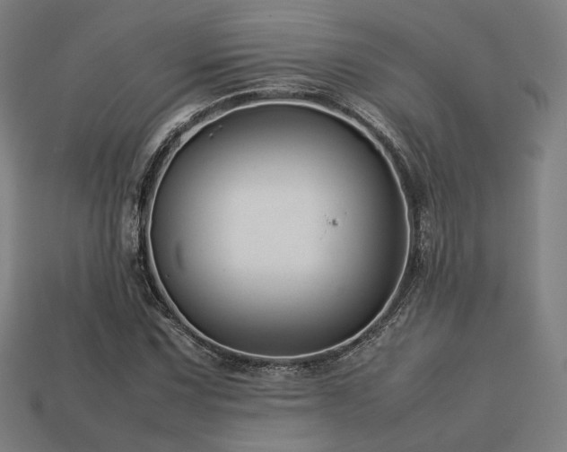 X0000113761067200909231200