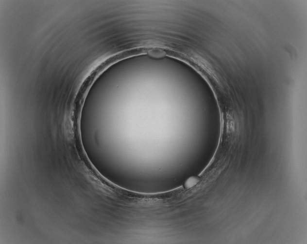 X0000113761068200909231200