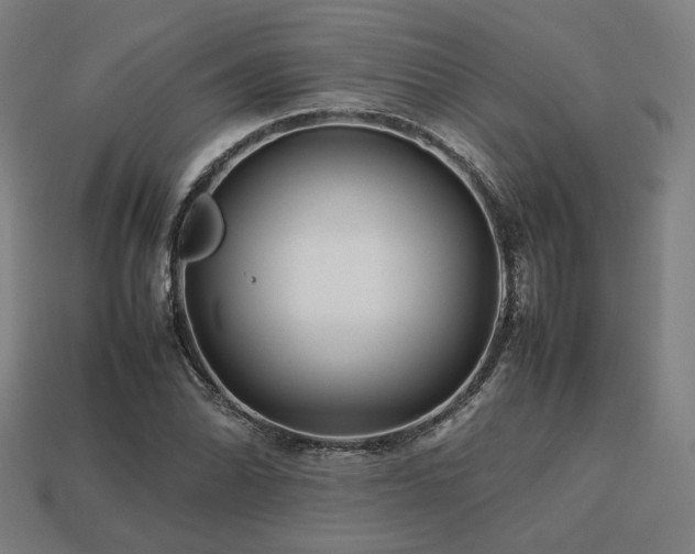 X0000113761070200909231200