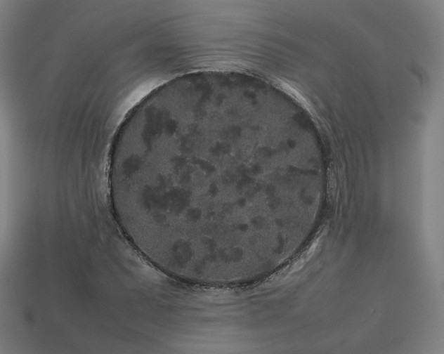 X0000113761071200909231200