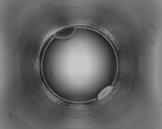 X0000113761072200909231200