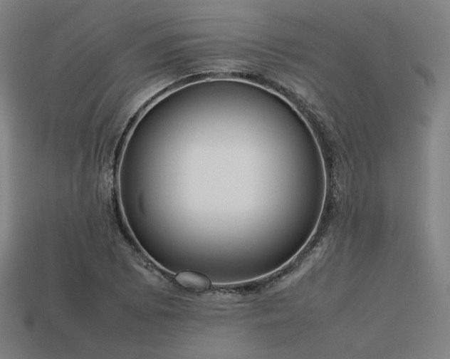 X0000113761073200909231200