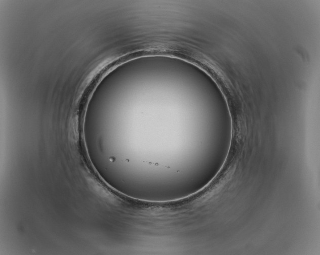 X0000113761075200909231200