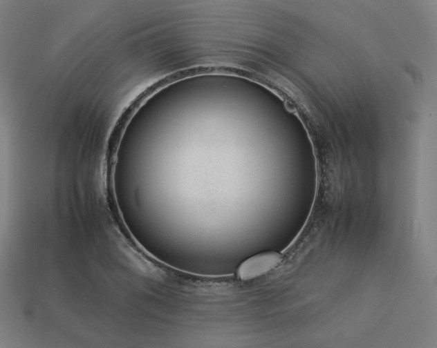 X0000113761076200909231200