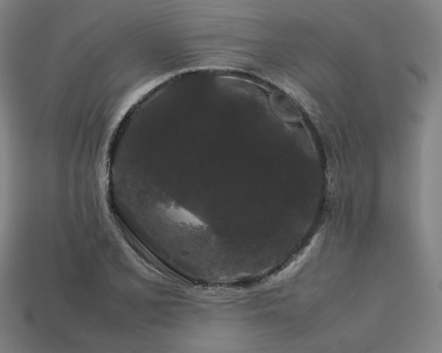 X0000113761077200909231200